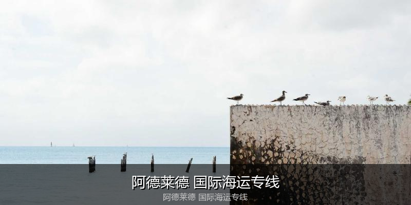 中国到澳洲海运专线服务优势与价格指南